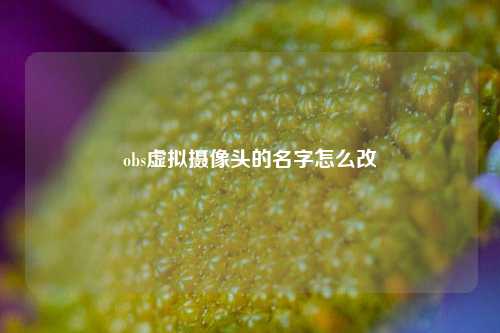 obs虚拟摄像头的名字怎么改